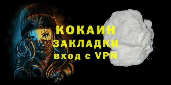 бошки Белокуриха
