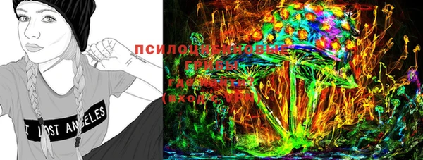 бошки Белокуриха