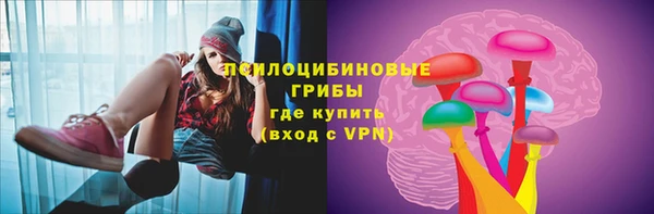 спайс Богданович
