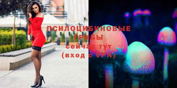 бошки Белокуриха