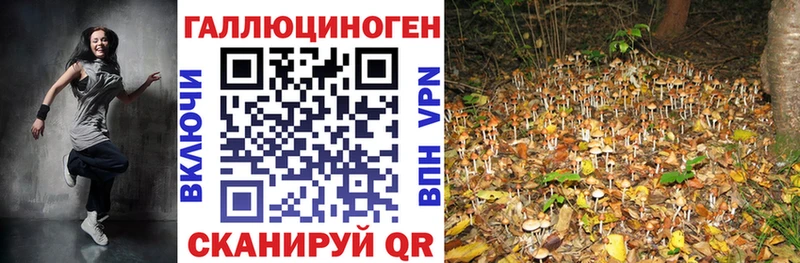 Псилоцибиновые грибы мицелий  blacksprut ССЫЛКА  Красноуфимск 